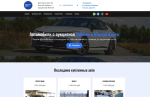 Delivery Car